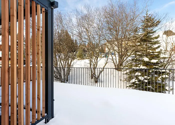 Arton - Steiermark Lachtal