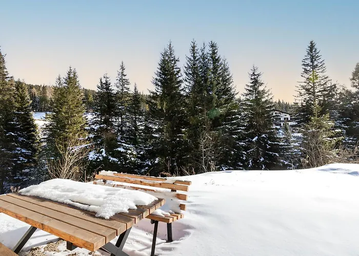 Arton - Steiermark * Lachtal