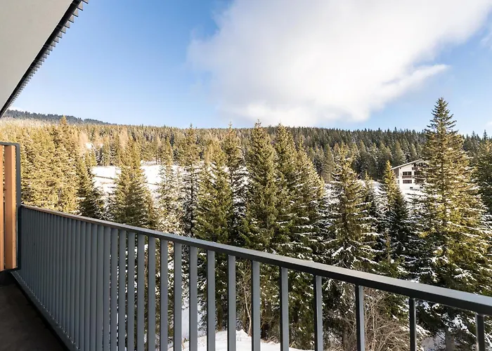 Arton - Steiermark Lachtal